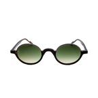 Adam Young Sonnenbrille AD 033 Col.02