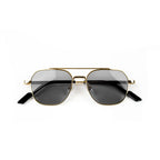Adam Young Sonnenbrille AD 011 Col.01