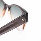 Adam Young Sonnenbrille AD 053 Col.06