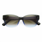 Adam Young Sonnenbrille AD 053 Col.07