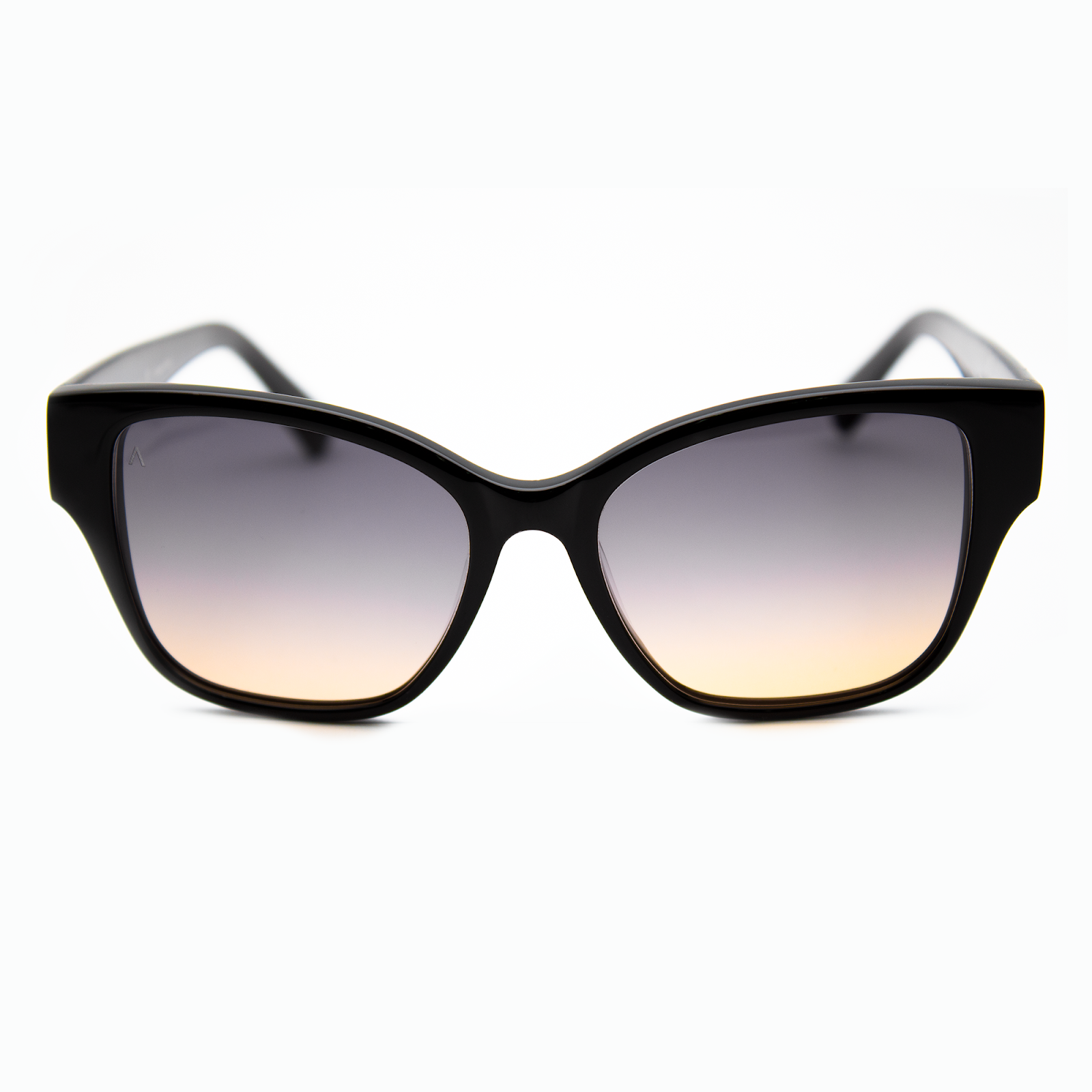Adam Young Sonnenbrille AD 053 Col.01