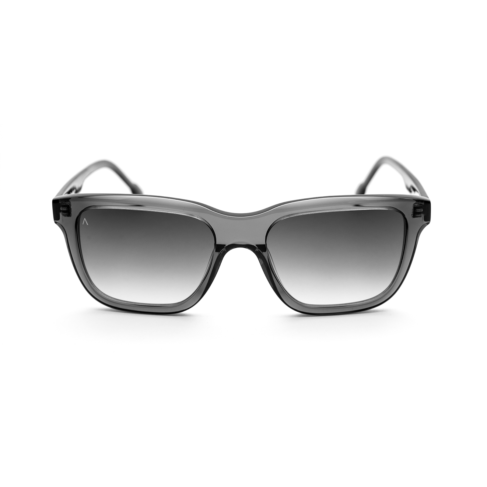 Adam Young Sonnenbrille AD 039 Col.04