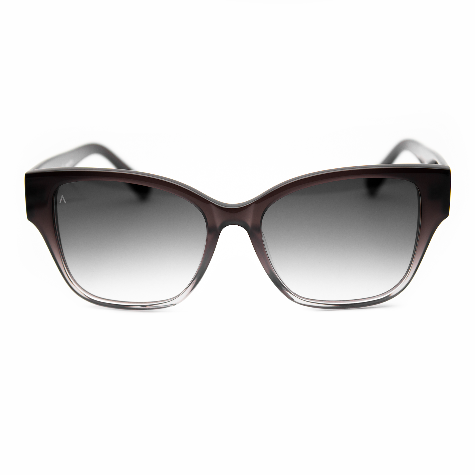 Adam Young Sonnenbrille AD 053 Col.04