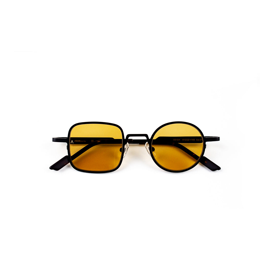 Adam Young Sonnenbrille AD 024 Col.01