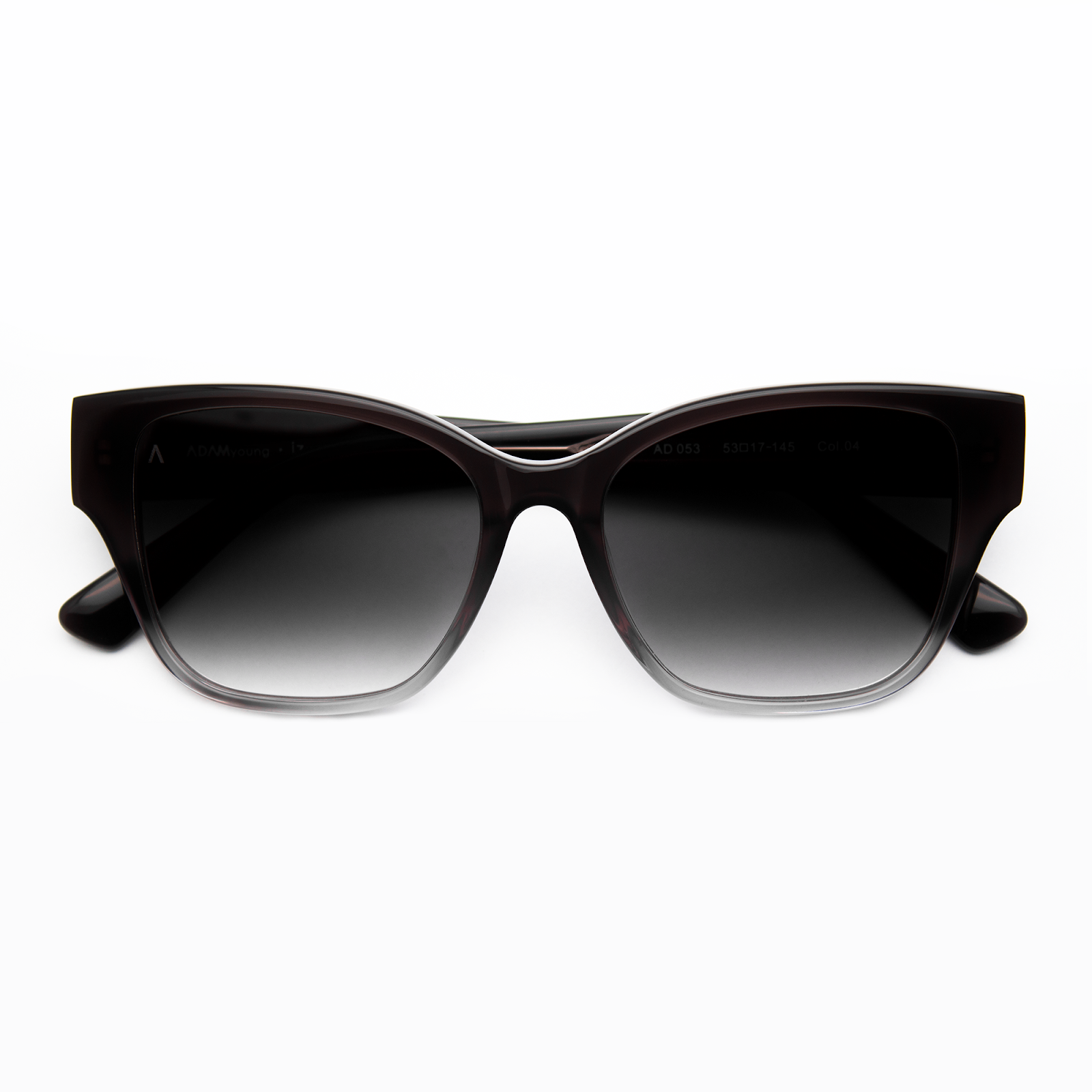 Adam Young Sonnenbrille AD 053 Col.04