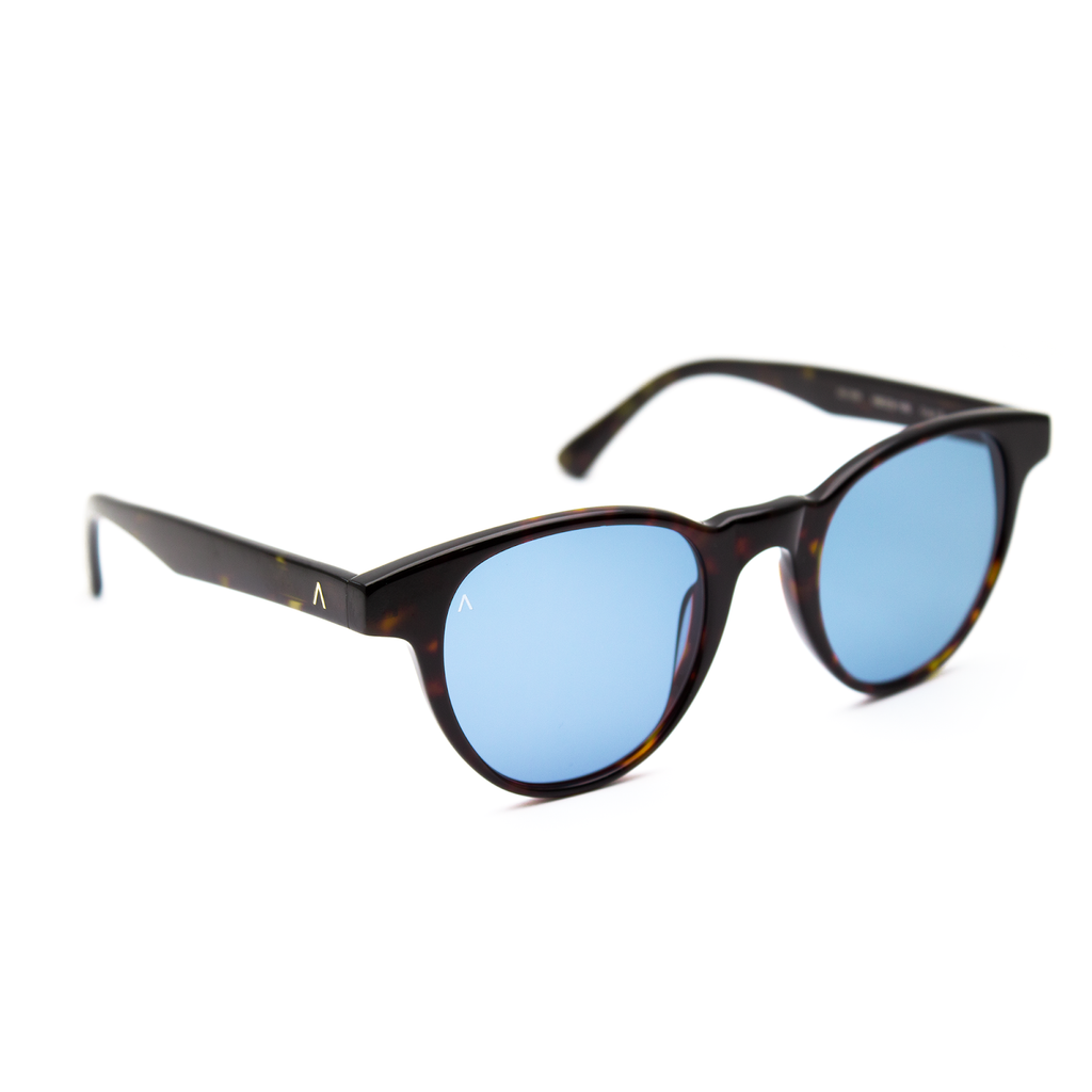 Adam Young Sonnenbrille AD 055 Col.02