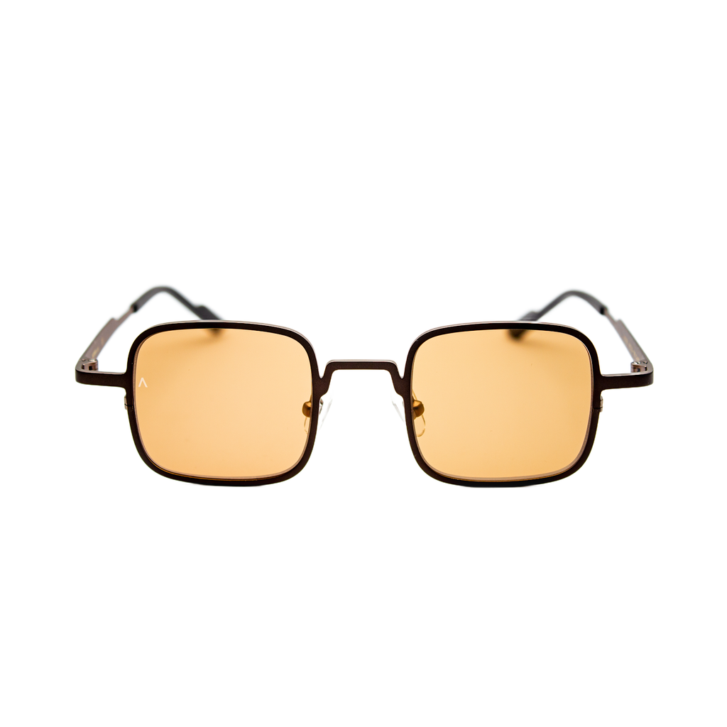 Adam Young Sonnenbrille AD 026 Col.02