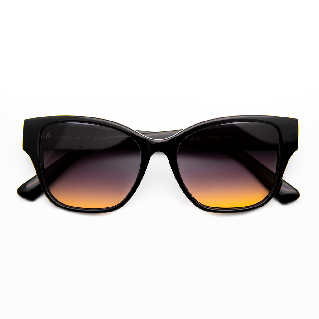 Adam Young Sonnenbrille AD 053 Col.01