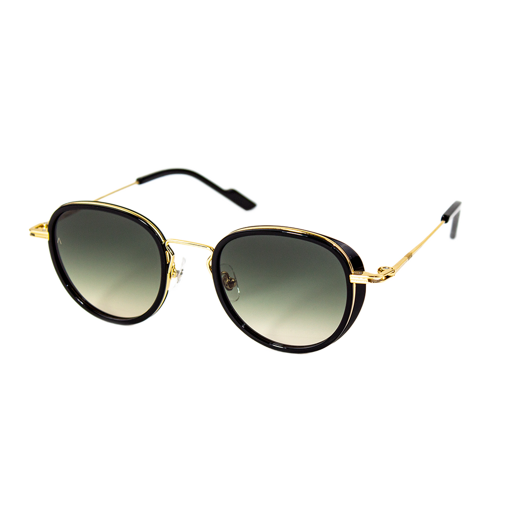 Adam Young Sonnenbrille AD 002 Col.01