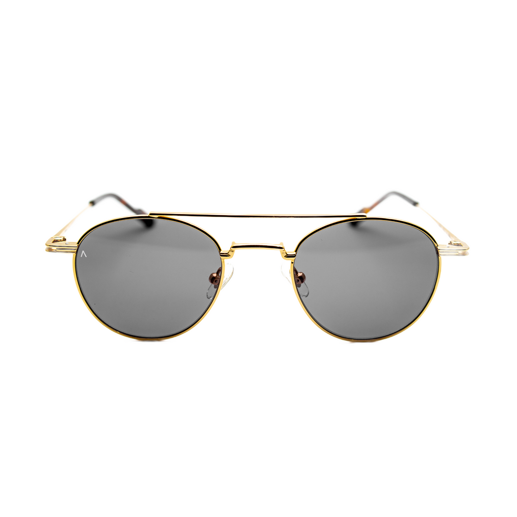 Adam Young Sonnenbrille AD 003 Col.01