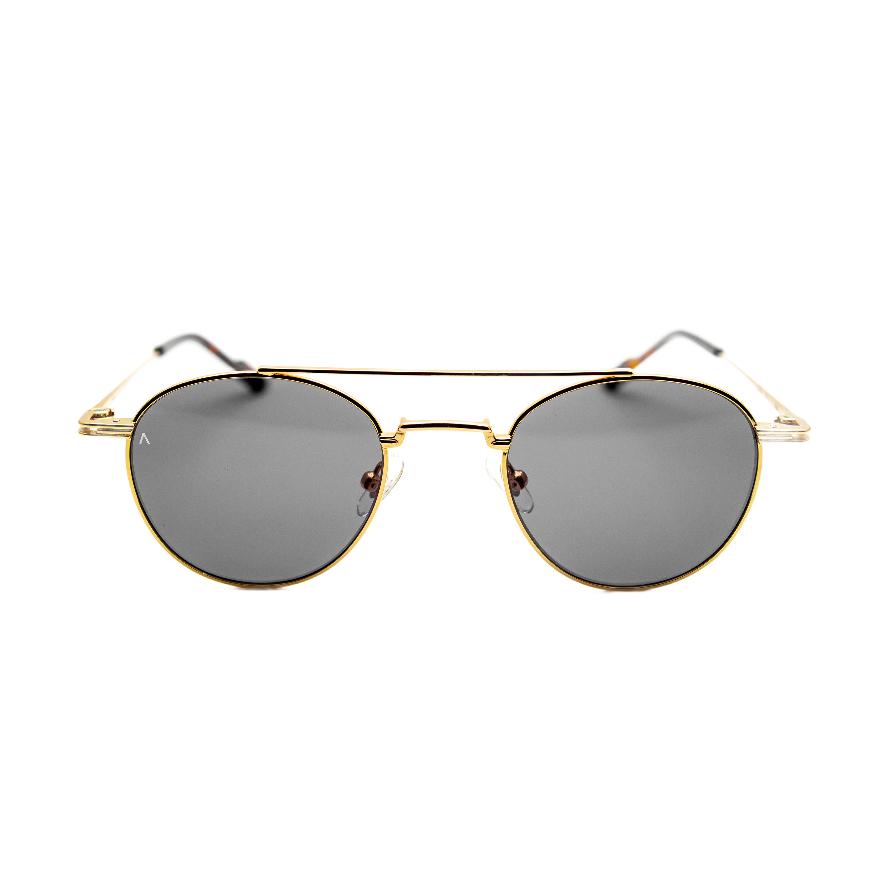 Adam Young Sonnenbrille AD 003 Col.01