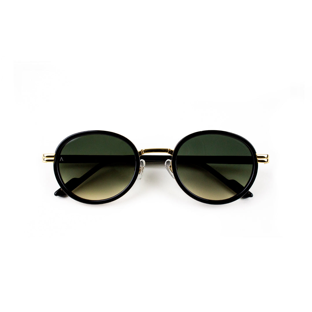 Adam Young Sonnenbrille AD 014 Col.01
