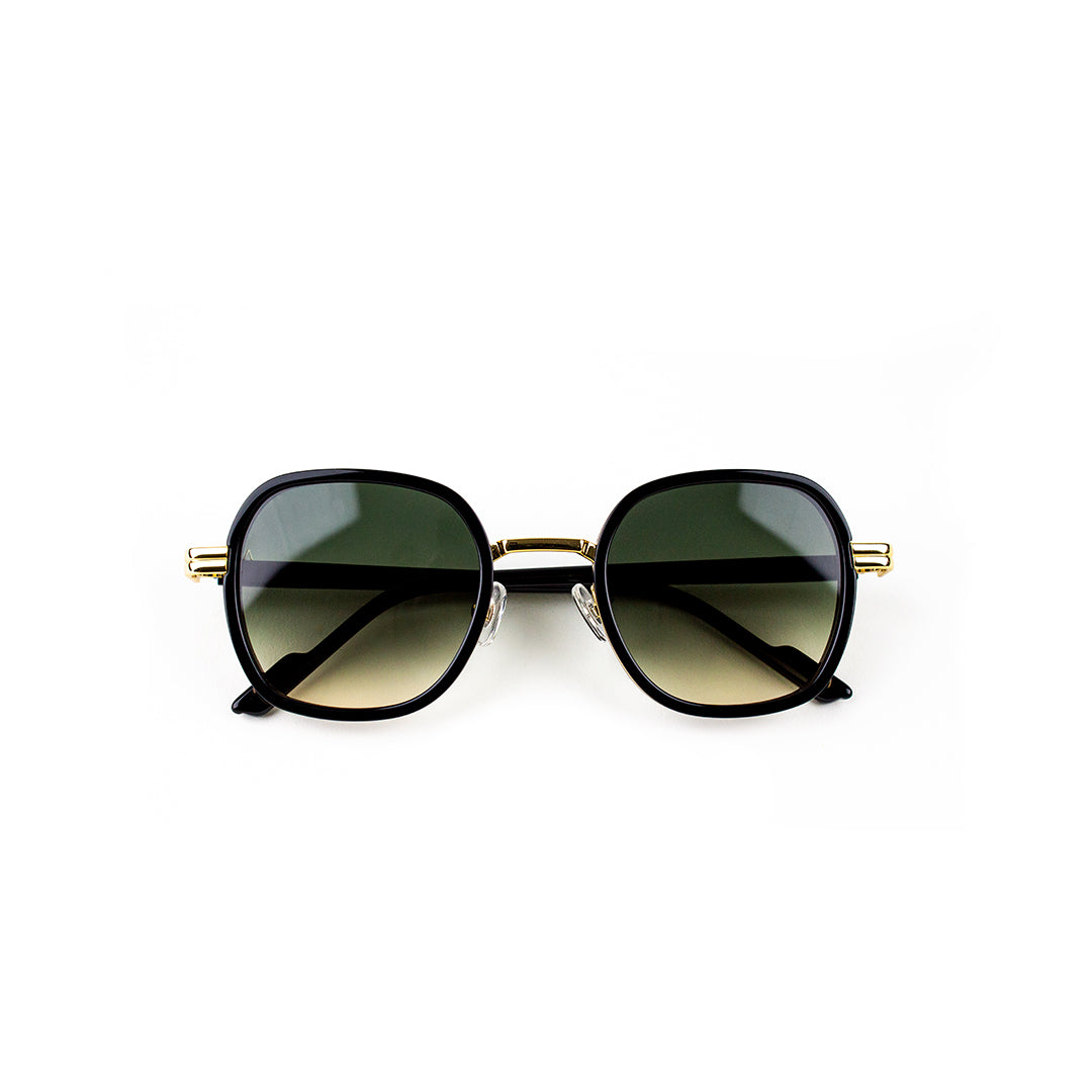 Adam Young Sonnenbrille AD 015 Col.01