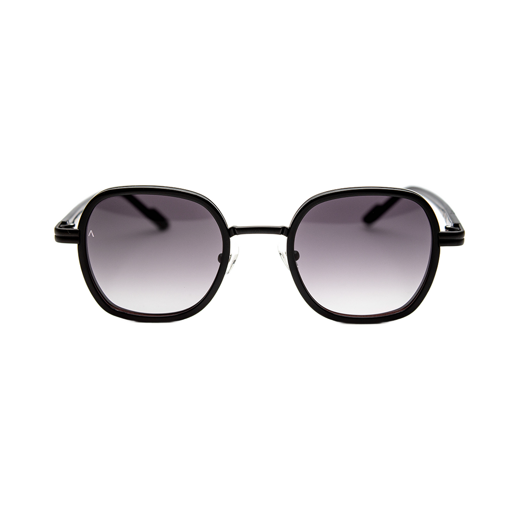 Adam Young Sonnenbrille AD 015 Col.06