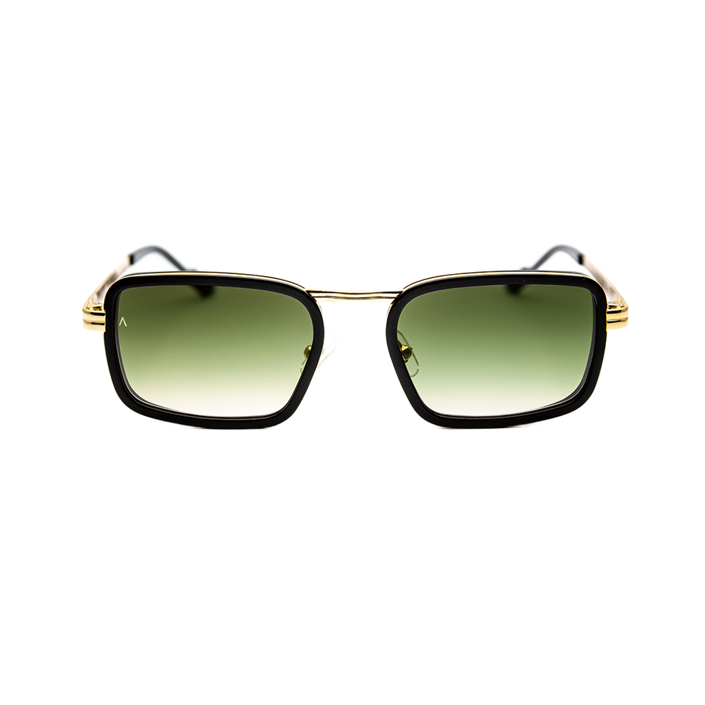 Adam Young Sonnenbrille AD 017 Col.01